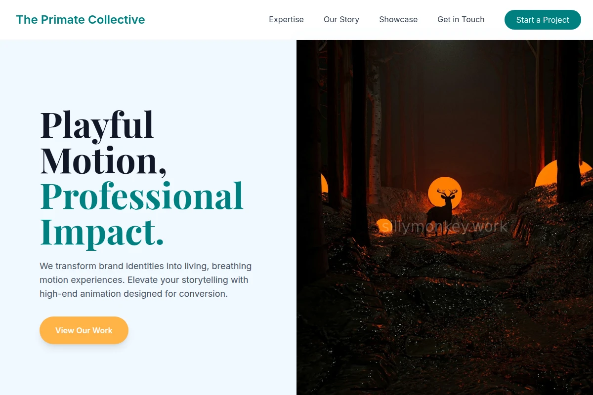Motion Animation