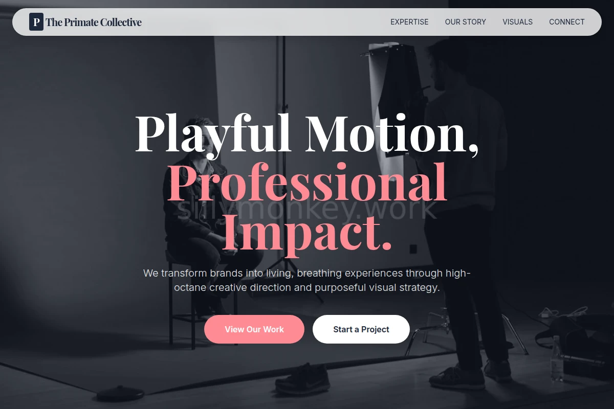 Vivid Creative Direction